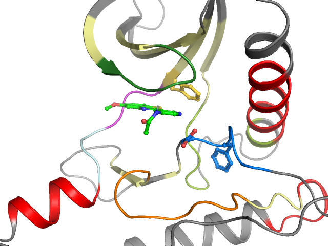 The orthosteric binding pocket