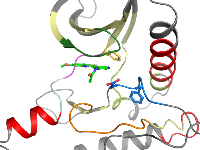 The orthosteric binding pocket