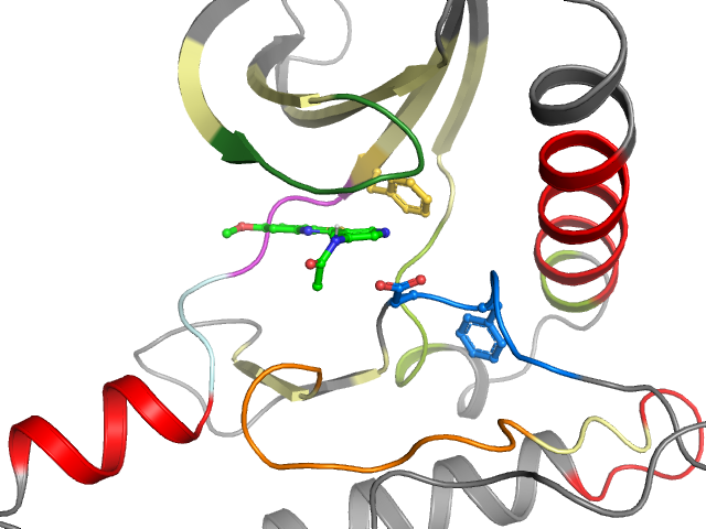 The orthosteric binding pocket