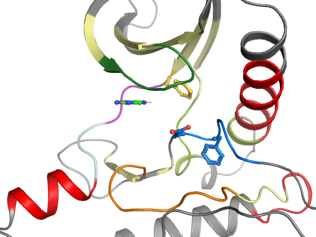 The orthosteric binding pocket