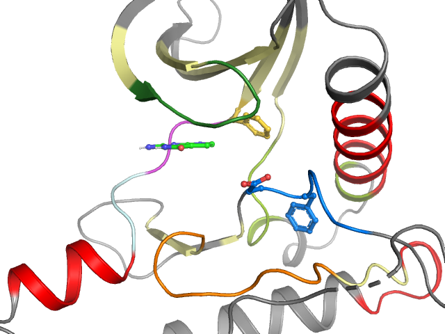 The orthosteric binding pocket