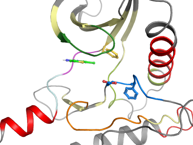 The orthosteric binding pocket