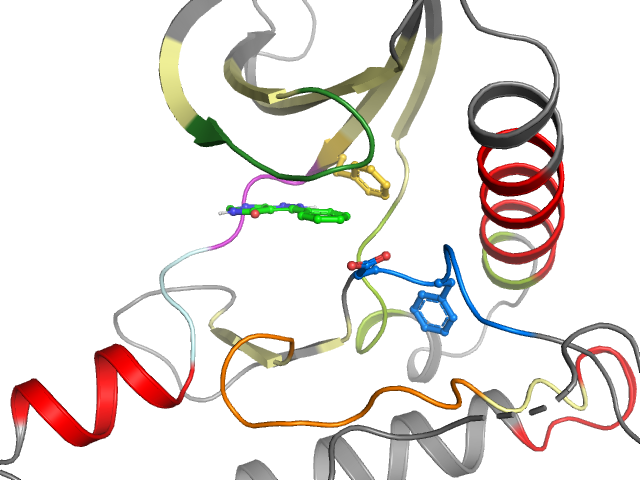 The orthosteric binding pocket