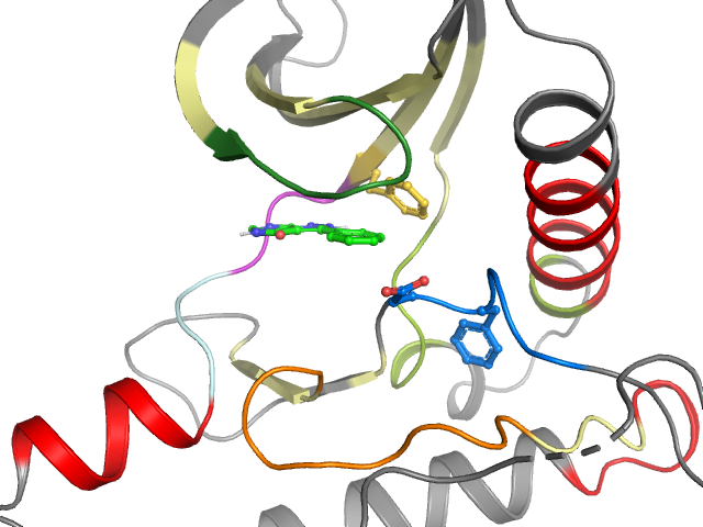 The orthosteric binding pocket