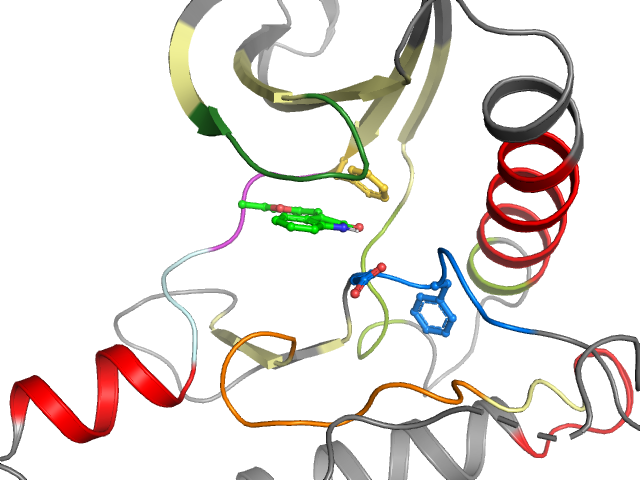 The orthosteric binding pocket