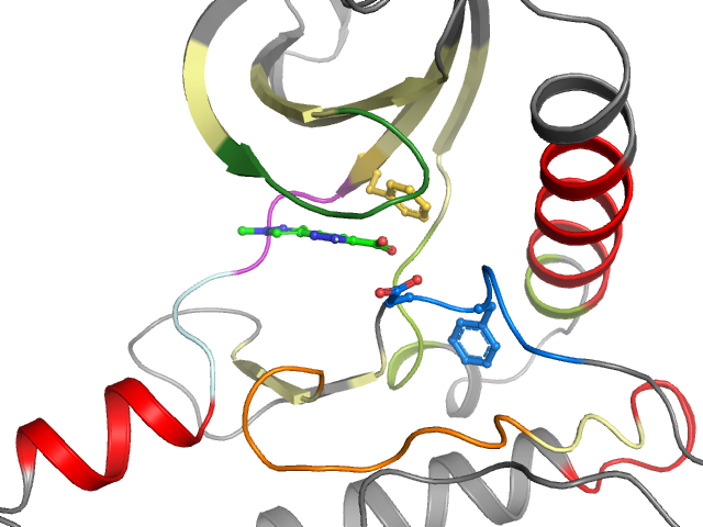 The orthosteric binding pocket