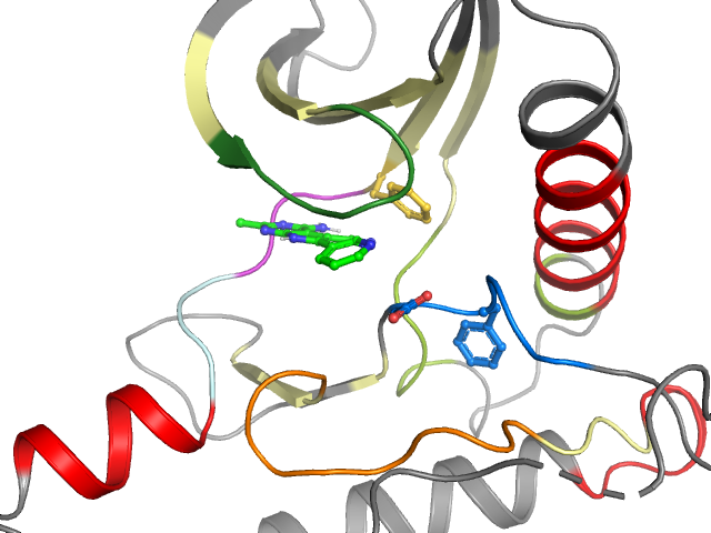 The orthosteric binding pocket