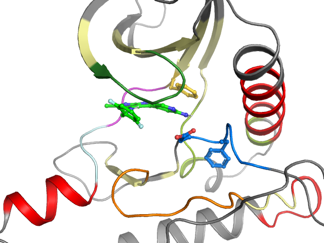 The orthosteric binding pocket