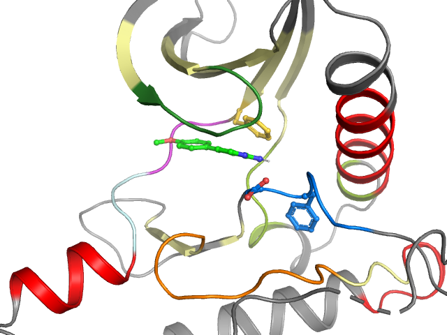 The orthosteric binding pocket