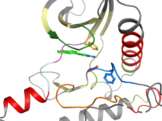 The orthosteric binding pocket