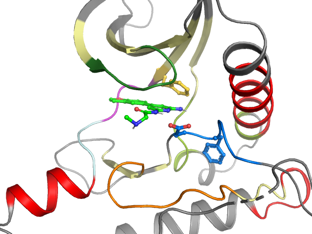 The orthosteric binding pocket