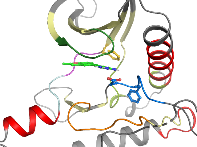 The orthosteric binding pocket