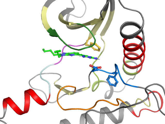 The orthosteric binding pocket
