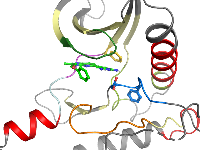 The orthosteric binding pocket