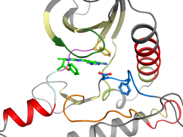 The orthosteric binding pocket