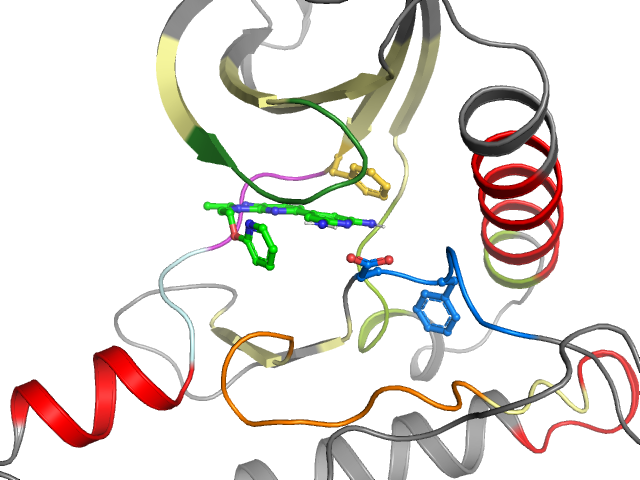 The orthosteric binding pocket