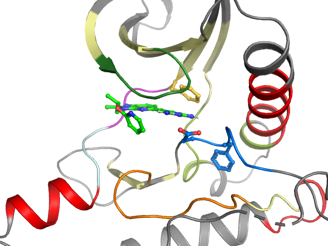 The orthosteric binding pocket