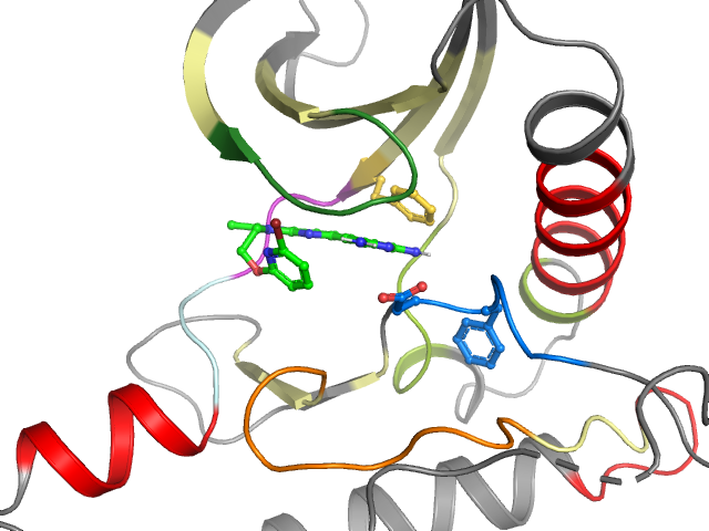 The orthosteric binding pocket