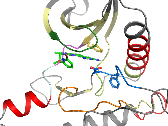 The orthosteric binding pocket