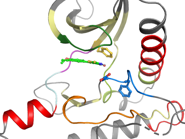 The orthosteric binding pocket