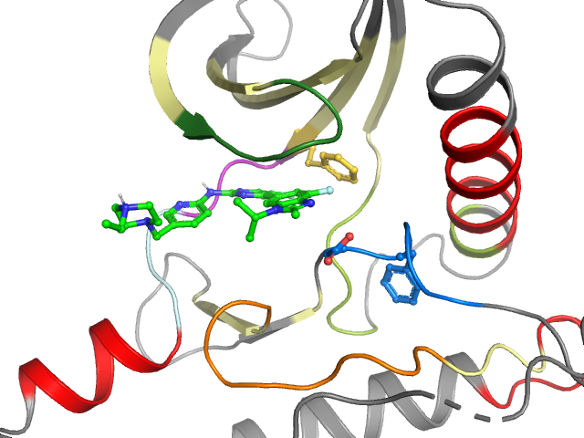The orthosteric binding pocket