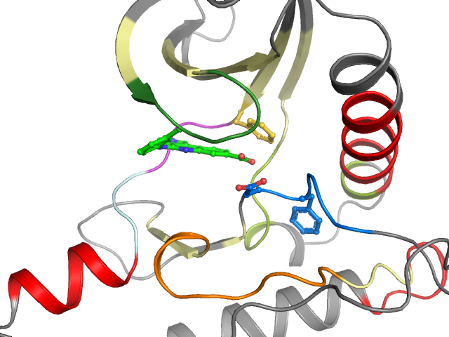 The orthosteric binding pocket