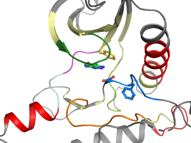 The orthosteric binding pocket