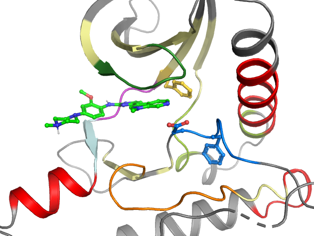 The orthosteric binding pocket