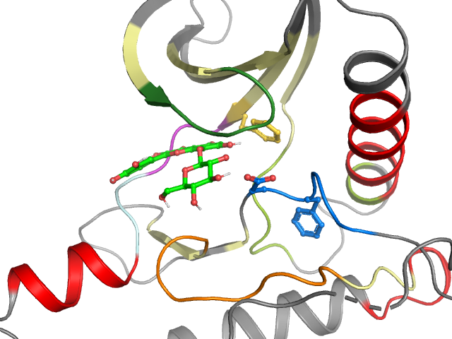 The orthosteric binding pocket