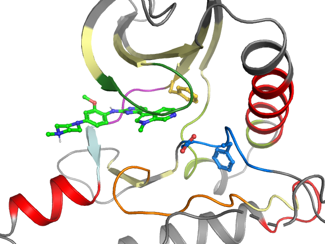 The orthosteric binding pocket