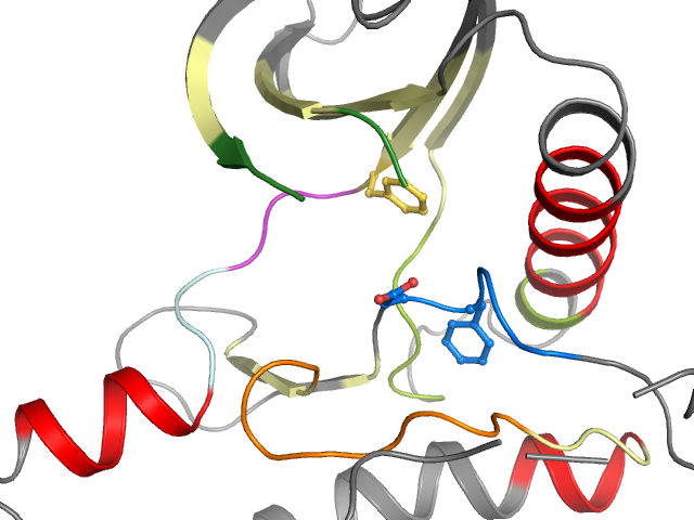The orthosteric binding pocket