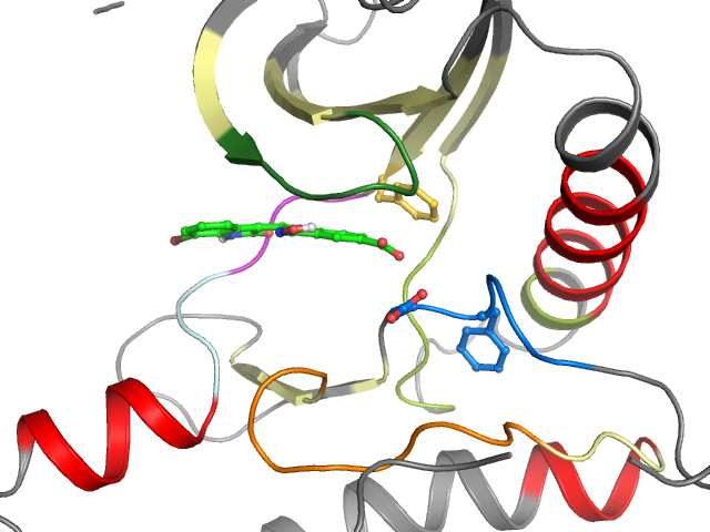 The orthosteric binding pocket