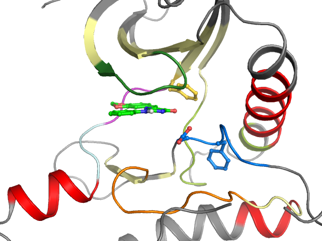 The orthosteric binding pocket