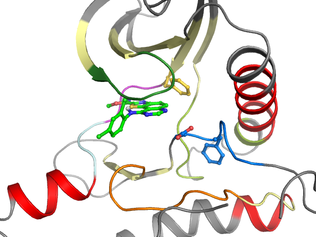 The orthosteric binding pocket