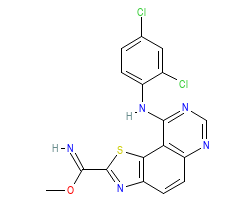 2D structure of the orthosteric ligand