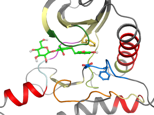 The orthosteric binding pocket