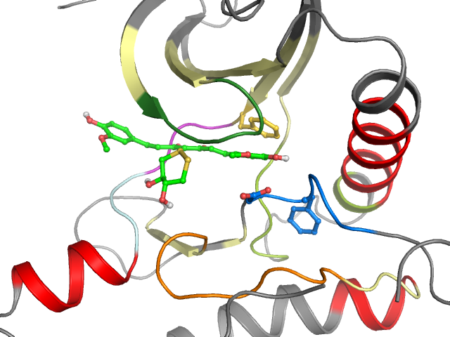 The orthosteric binding pocket