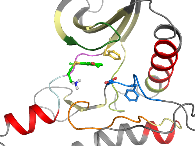 The orthosteric binding pocket