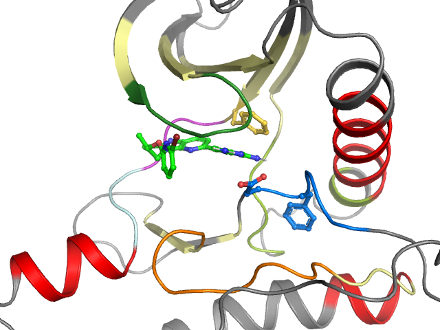 The orthosteric binding pocket