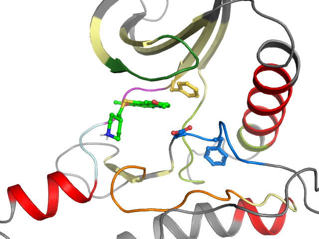 The orthosteric binding pocket