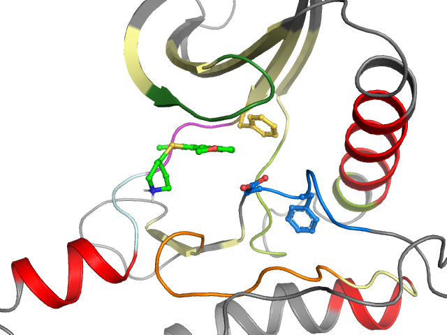 The orthosteric binding pocket