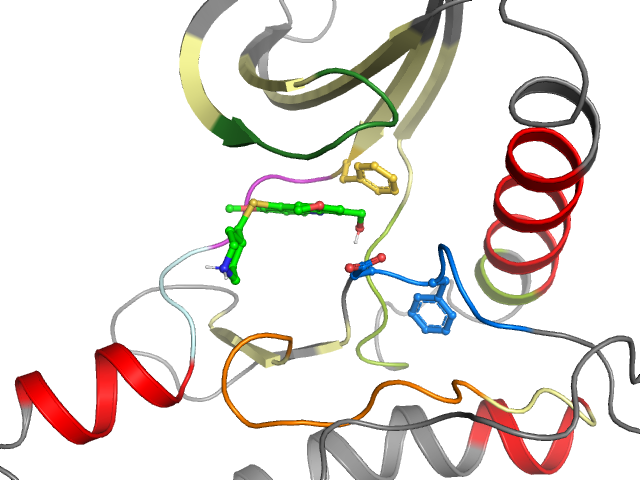 The orthosteric binding pocket