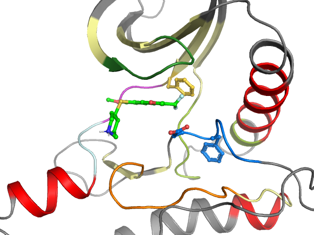 The orthosteric binding pocket