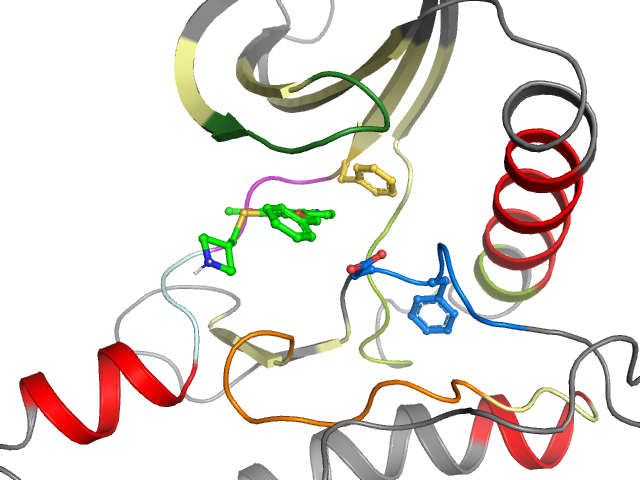 The orthosteric binding pocket