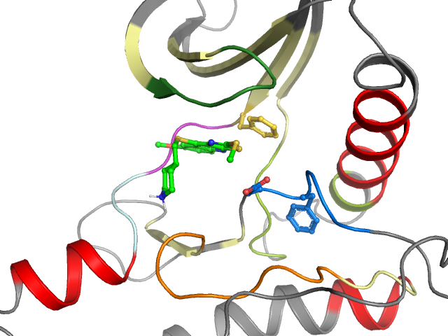 The orthosteric binding pocket