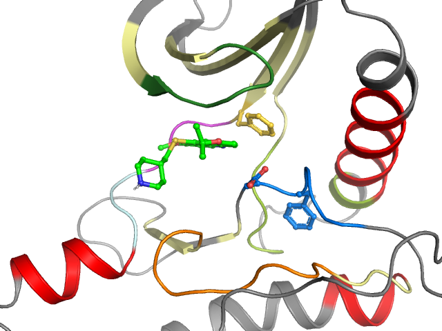 The orthosteric binding pocket