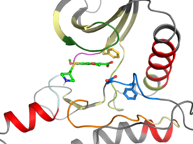 The orthosteric binding pocket