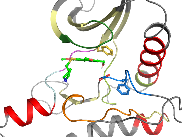 The orthosteric binding pocket