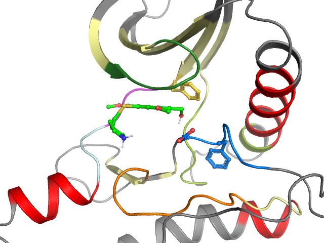 The orthosteric binding pocket