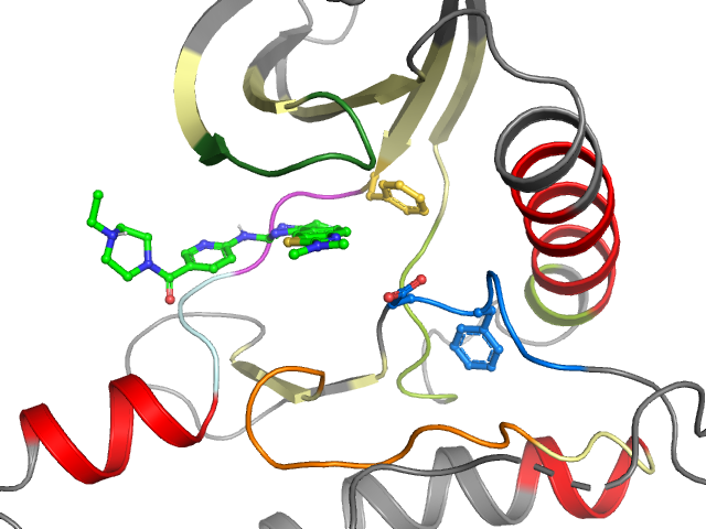 The orthosteric binding pocket